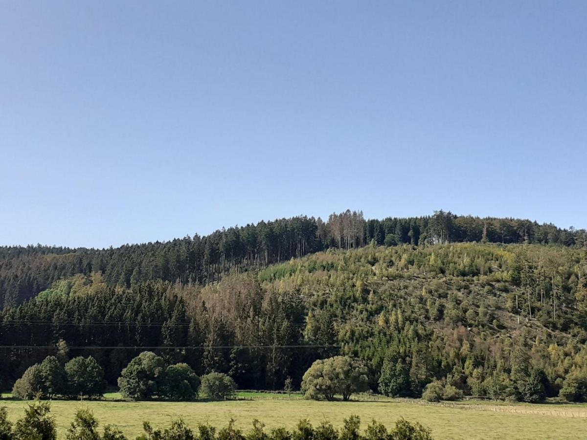 Ferienwohnung Jule Winterberg Esterno foto